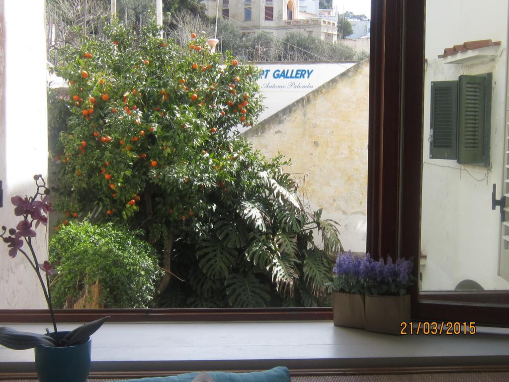 Villa Apollo B&B Capri Pokój zdjęcie